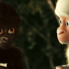 Copito de Nieve: una scena con il candido Fiocco di Neve e un altro gorilla