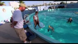 Featurette - L'incredibile storia di Winter il delfino