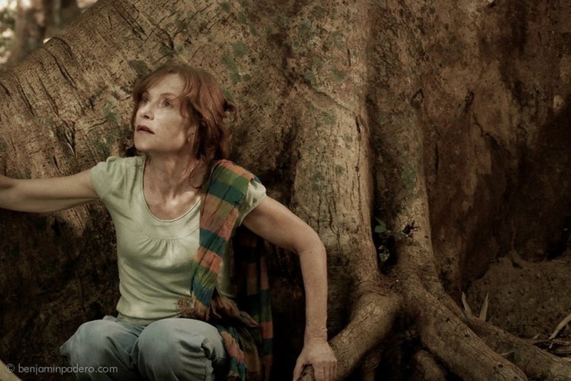 Isabelle Huppert Siede Alle Radici Di Un Gigantesco Albero In Una Scena Del Film Captive 227593