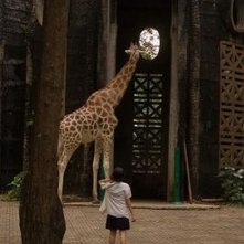 Postcards From The Zoo: una scena del film