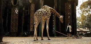 Postcards From The Zoo: una scena tratta dal film