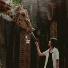 Postcards From The Zoo: una scena tratta dal film diretto dal giovane Edwin