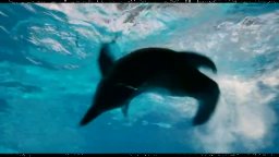 Spot 'Experience' - L'incredibile storia di Winter il delfino