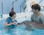 Recensione L'incredibile storia di Winter il delfino (2011)