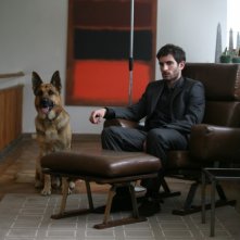 La verità nascosta: Quim Gutiérrez in una foto promozionale con il suo pastore tedesco