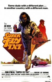 Locandina di Super Fly T.N.T.