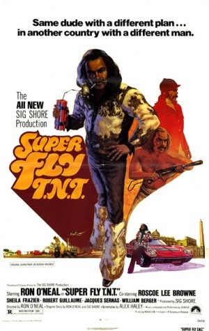 Super Fly T.N.T. - locandina del film
