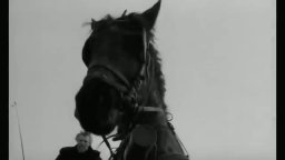 Trailer - The Turin Horse