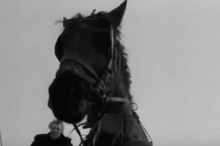 Trailer - The Turin Horse