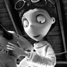 Una delicata immagine di Frankenweenie, nuovo capolavoro animato in stop motion diretto da Tim Burton