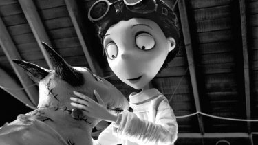 Una delicata immagine di Frankenweenie, nuovo capolavoro animato in stop motion diretto da Tim Burton