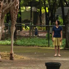 Postcards From The Zoo: Ladya Cheryl in una scena tratta dal film