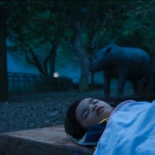 Postcards From The Zoo: una bellissima scena tratta dal film