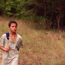 Just the Wind: una scena tratta dal film