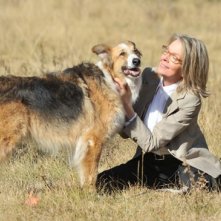 Diane Keaton e il suo cane in Darling Companion