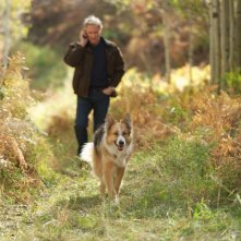 Kevin Kline porta a spasso il suo cane in Darling Companion