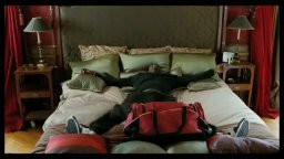 Trailer - Intouchables