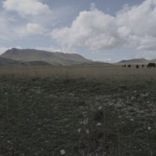 Anton Corbijn Inside Out: l'artista Anton Corbijn in una scena del documentario a lui dedicato