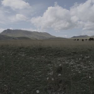 Anton Corbijn Inside Out: l'artista Anton Corbijn in una scena del documentario a lui dedicato