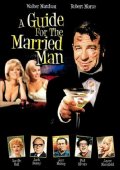 Una guida per l'uomo sposato: la locandina del film