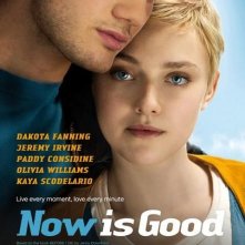 Now Is Good: nuovo poster USA