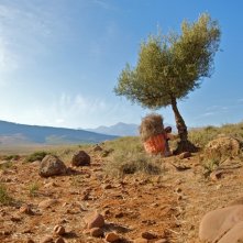 La sorgente dell'amore: una scena del film diretto da Radu Mihaileanu