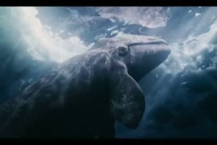 Spot - Qualcosa di straordinario