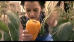 Trailer - Colour from the Dark