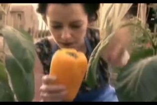 Trailer - Colour from the Dark