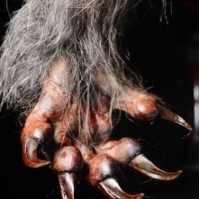 Lobos de Arga: la zampa di un lupo mannaro