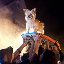 Project X - una festa che spacca: un cagnolino festeggiato dai presenti