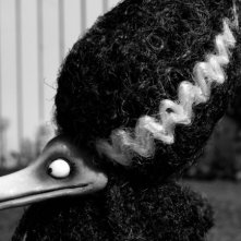 Frankenweenie: una nuova immagine tratta dal film