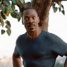 Eddie Murphy nella commedia A Thousand Words, del 2012