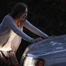 Elizabeth Olsen E Sarah Nel Film Silent House 233892