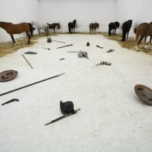 Quijote: un gruppo di cavalli in circolo in una scena del film