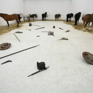 Quijote: un gruppo di cavalli in circolo in una scena del film