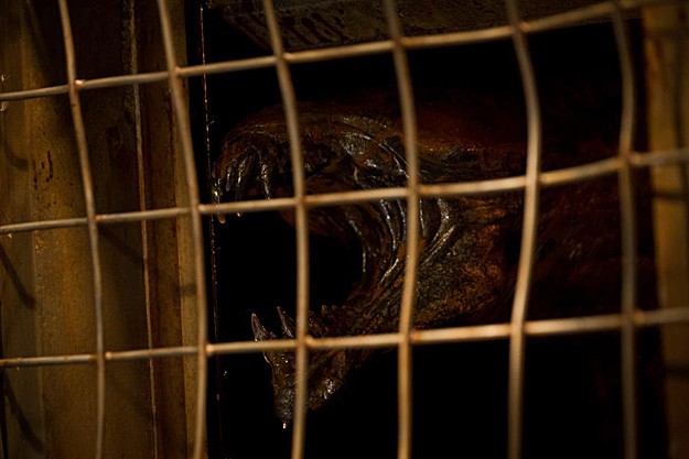 Riddick Ecco Una Delle Mostruose Creature Presenti Nel Film 234844