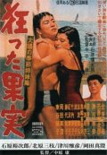 La stagione del sole: la locandina del film