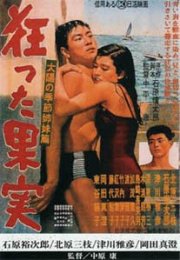 La stagione del sole: la locandina del film