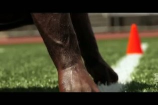 Trailer - The Last Fall