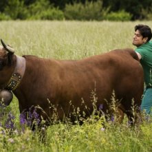 Workers - Pronti a tutto: Dario Bandiera in una bizzarra scena del film