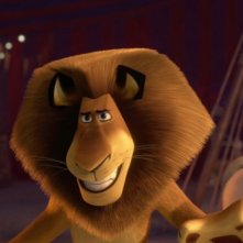 Madagascar 3 Ricercati In Europa Alex Il Leone In Una Scena Del Film 235297