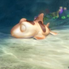 Seafood - Un pesce fuor d'acqua: il piccolo Pup dormicchia in una scena del film