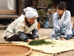 Una immagine del film Tanemaku tabibito: Minori no cha