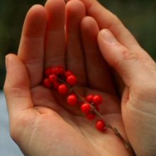 The Village, una scena del film di Shyamalan