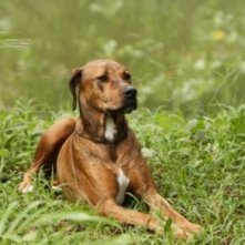 Una scena della serie tv The River (episodio Doctor Emmet Cole)