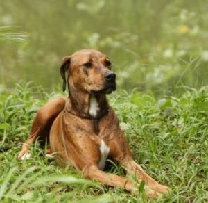 Una scena della serie tv The River (episodio Doctor Emmet Cole)