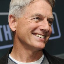 l'attore Mark Harmon