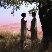 Pollo alle prugne: Mathieu Amalric e Golshifteh Farahani in una sognante scena del film