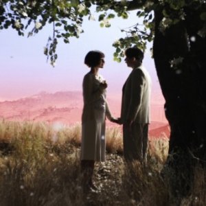 Pollo alle prugne: Mathieu Amalric e Golshifteh Farahani in una sognante scena del film